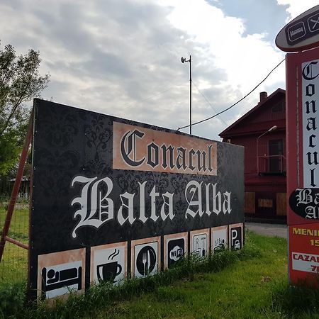 Hotel Conacul Balta Albă Extérieur photo
