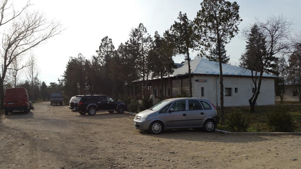 Hotel Conacul Balta Albă Extérieur photo