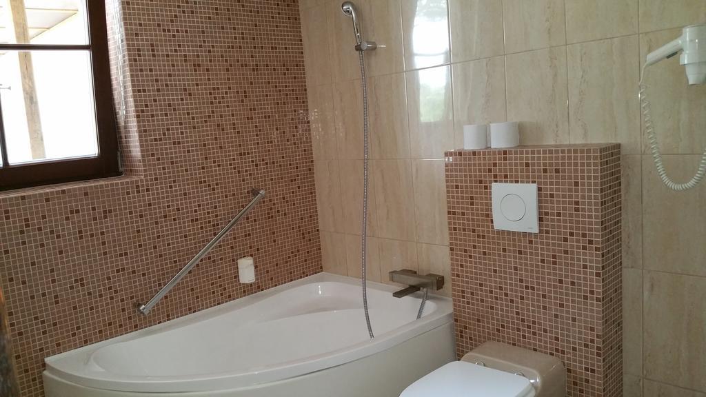Hotel Conacul Balta Albă Extérieur photo