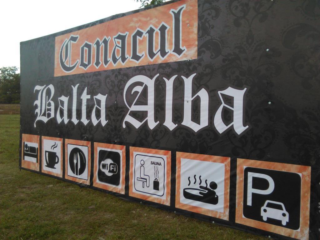 Hotel Conacul Balta Albă Extérieur photo
